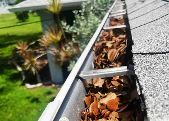 Holland gutter cleaning home page